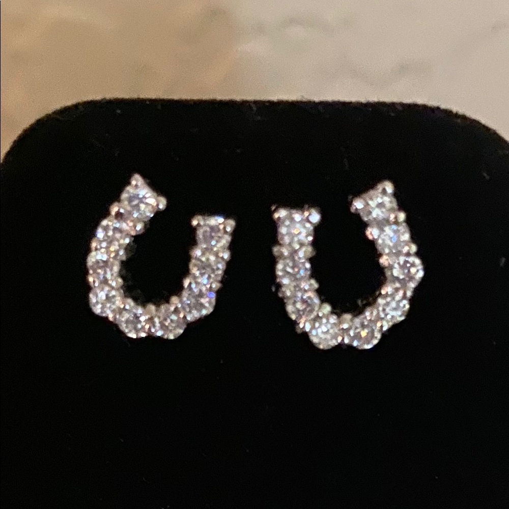 Sterling silver horseshoe earring